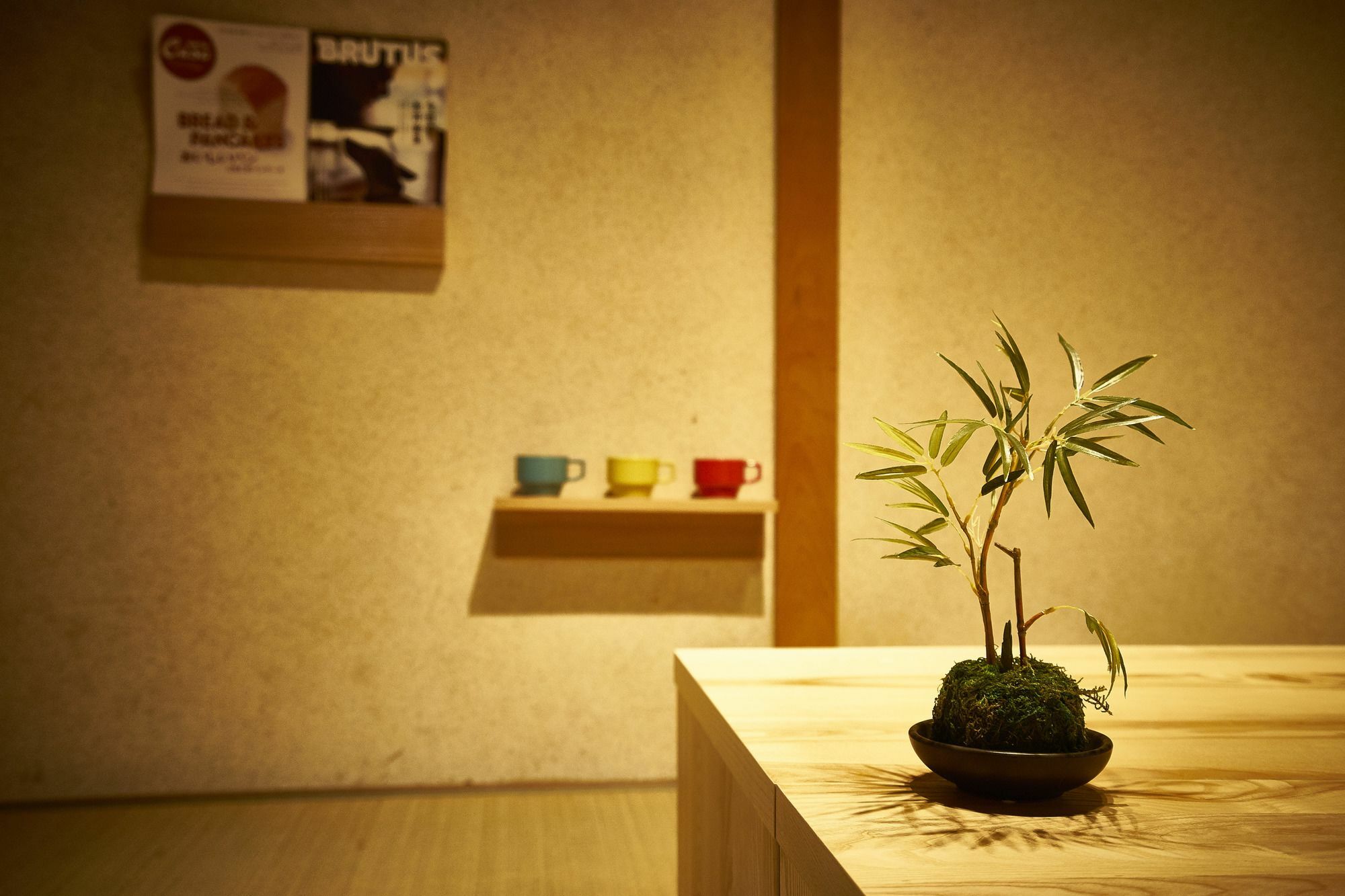 Miyanoan Villa Kyoto Exterior photo